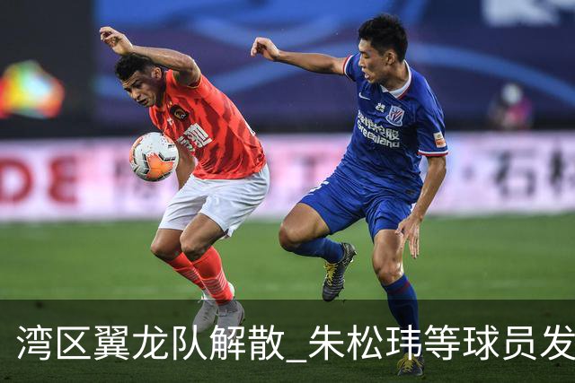 湾区翼龙队解散 朱松玮等球员发布声明维权